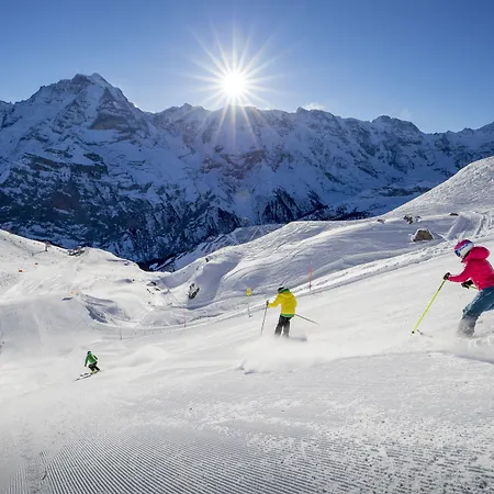 Wolter - Grindelwald